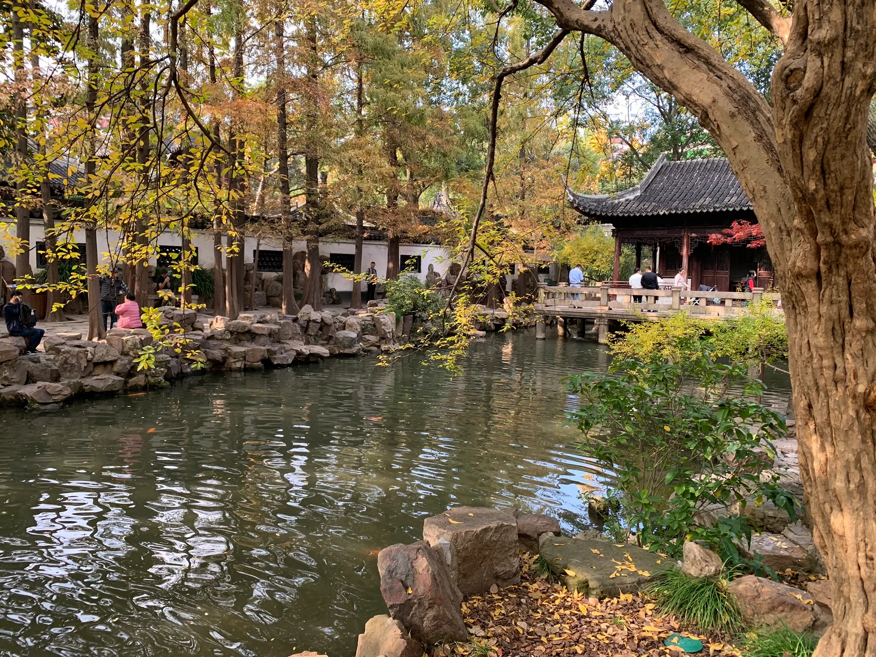 A quiet Shanghai garden with water, trees, and traditional architecture.