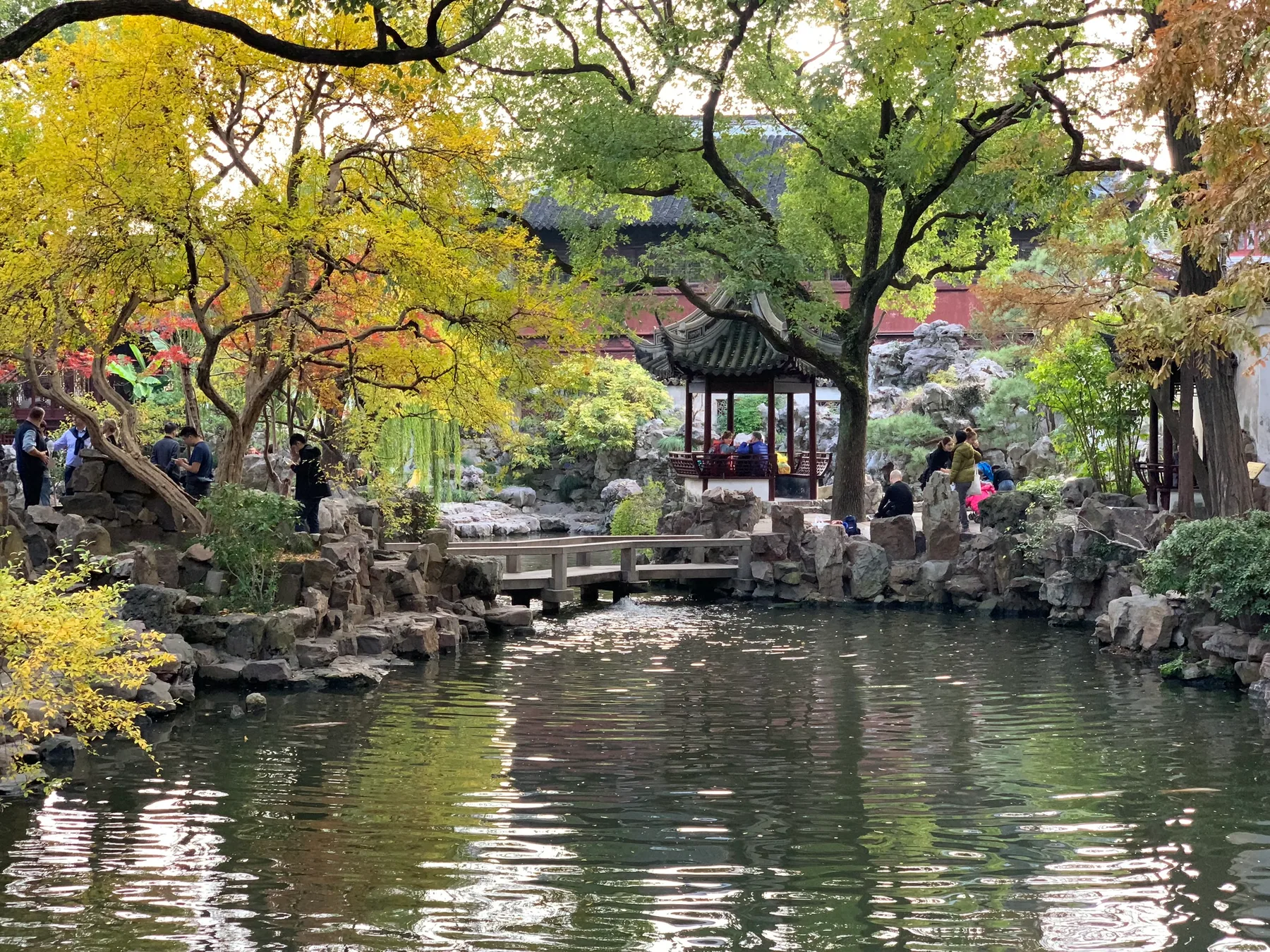A leafy Shanghai garden scene beside a pond.