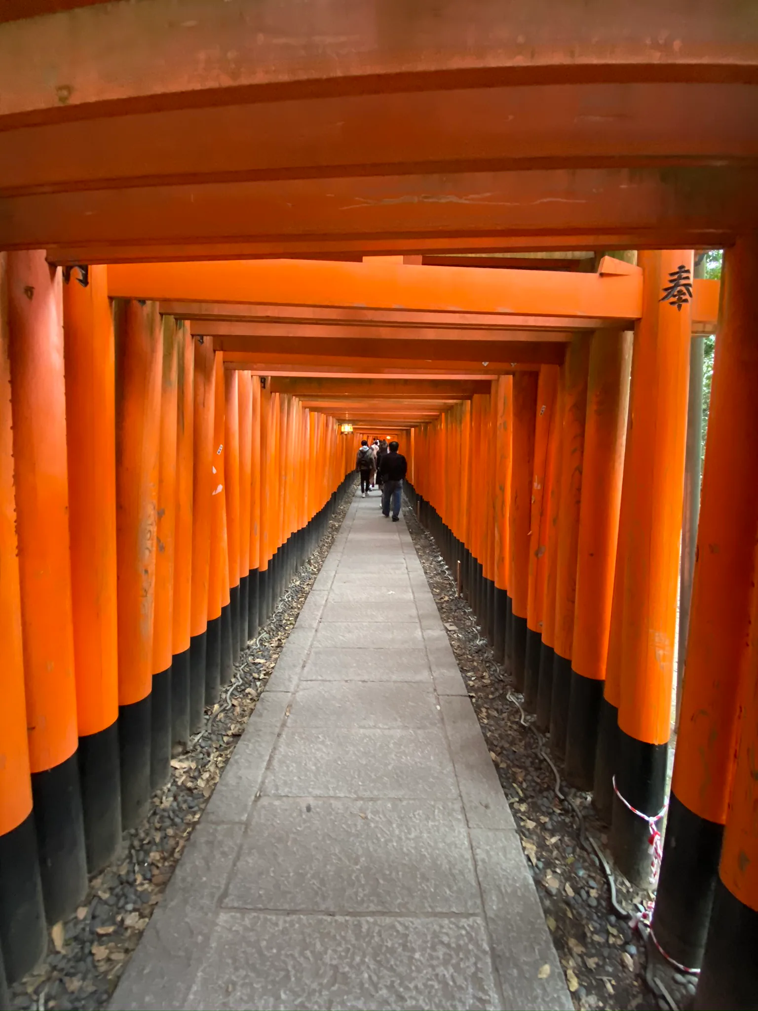 A path of red torii gates at Fushimi Inari Taisha in Kyoto.