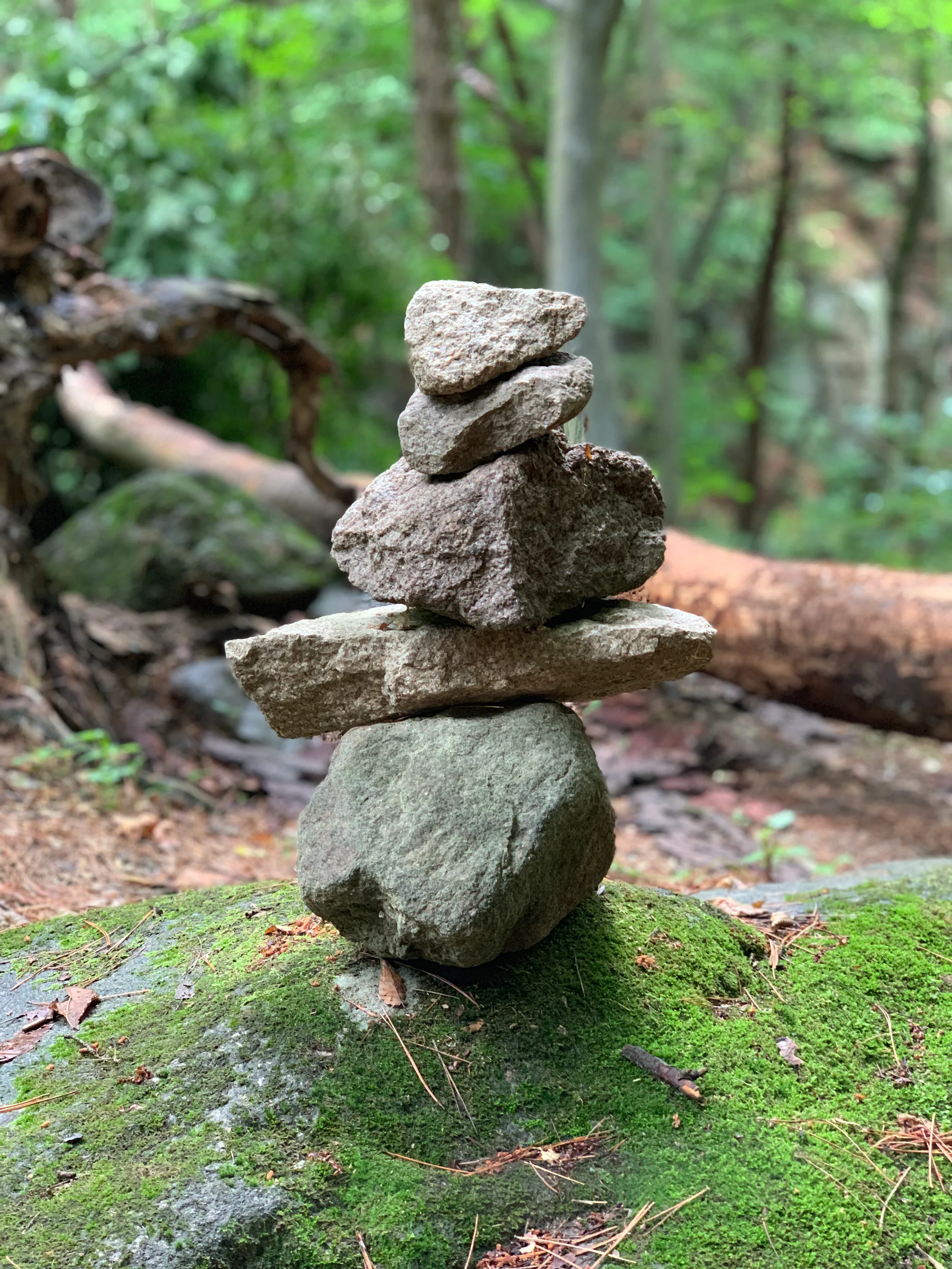 A small stack of stones balanced in the forest near Donghwasa.