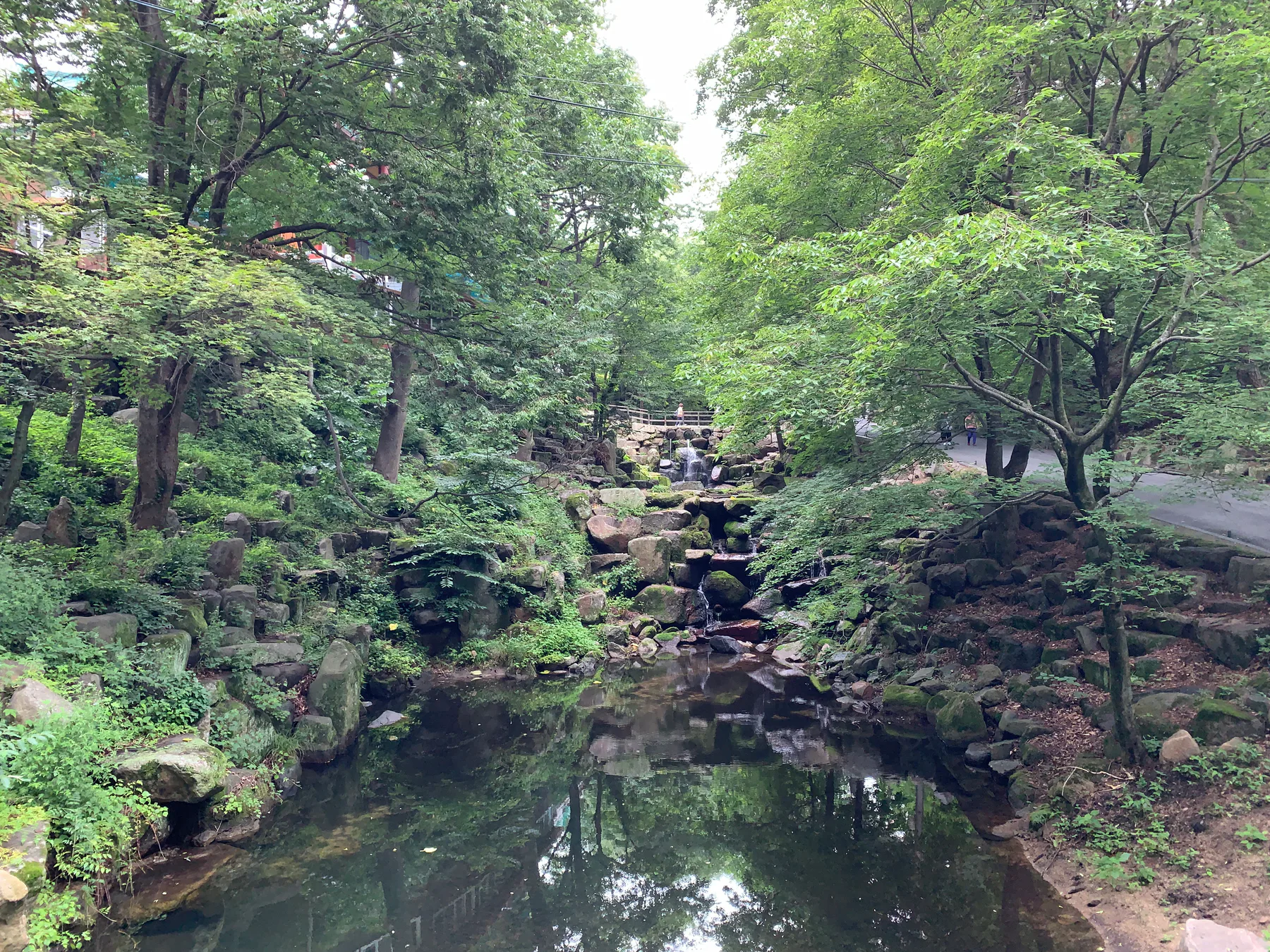 A green forest path and stream near Donghwasa.