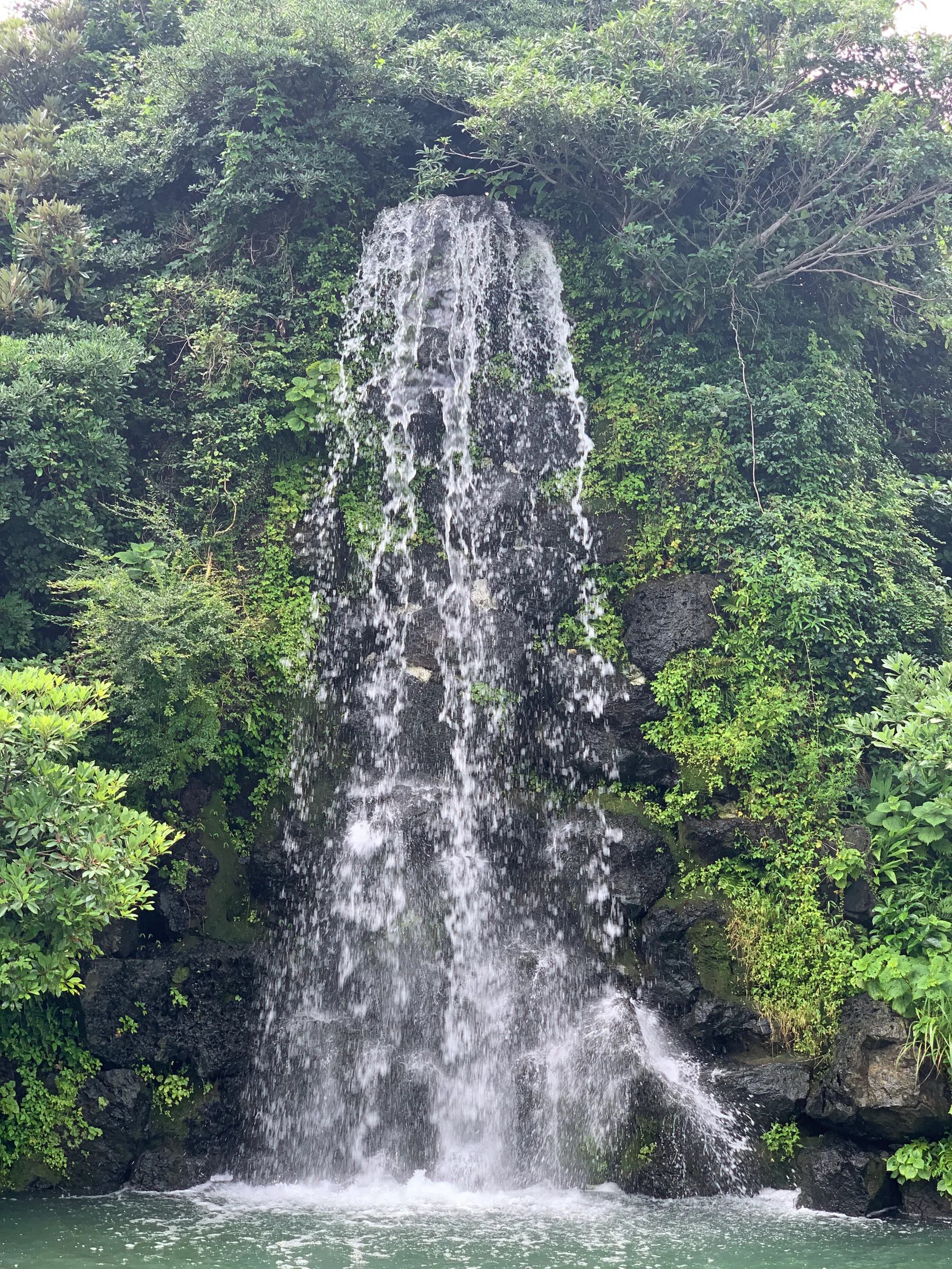 A tall waterfall surrounded by green rock walls in Jeju.
