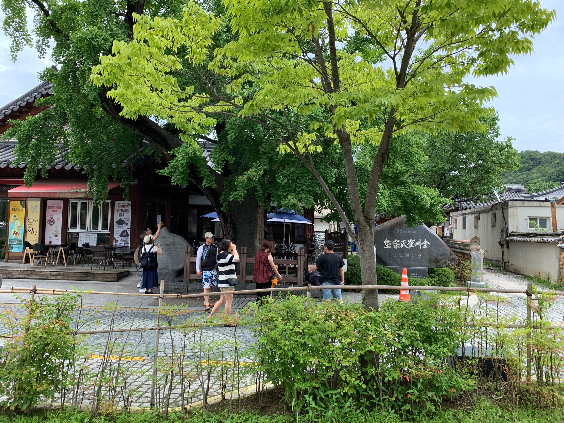 A quiet street with trees and low buildings in Jeonju.