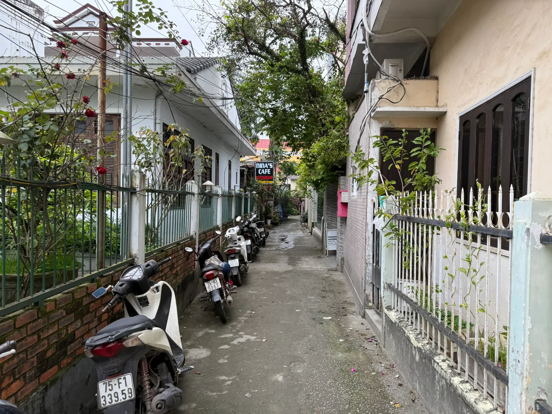 A quiet lane in Huế lined with homes, plants, and parked scooters.
